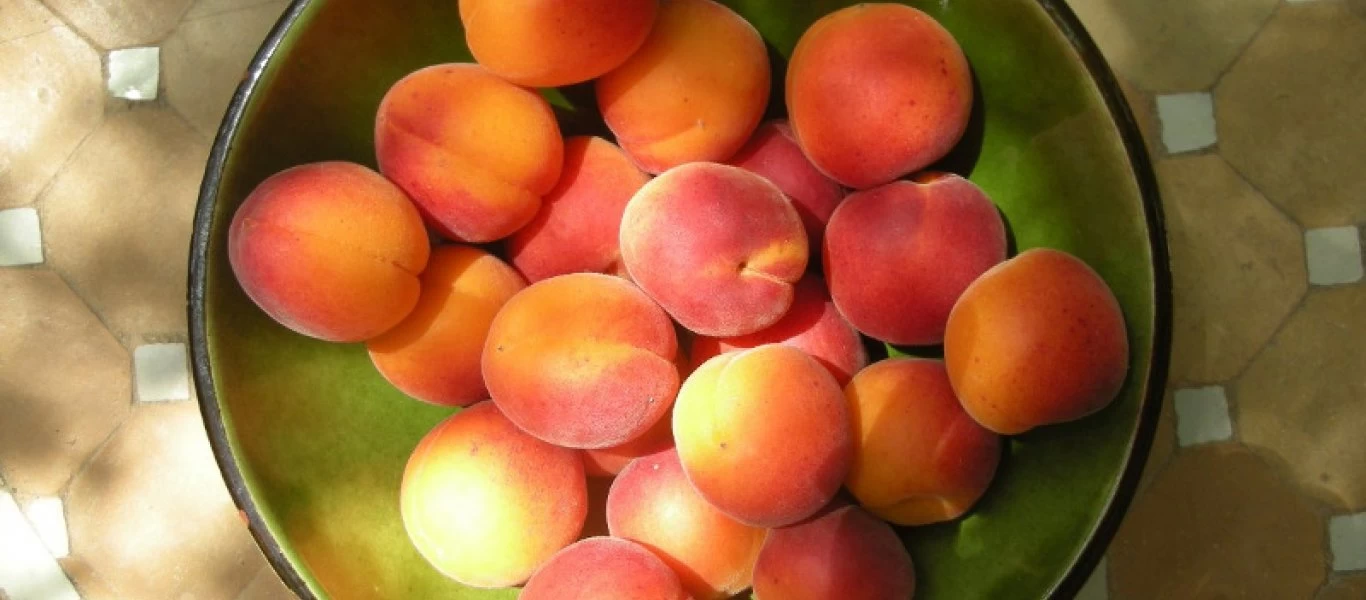  Γιατί πρέπει να τρώμε αποξηραμένα βερύκοκα - Τα 4 οφέλη